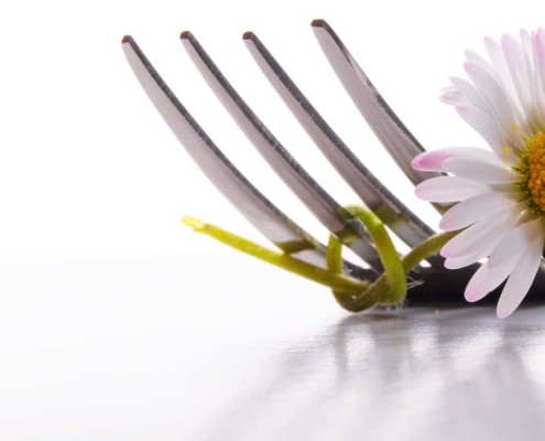 Aktuelles im Gasthaus Dehne